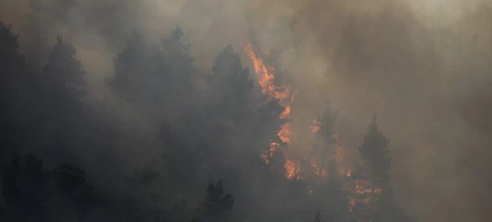 Ολονύχτια μάχη με τις φλόγες στη Χαλκιδική – Φοβούνται νέο Μάτι οι κάτοικοι – Εκκενώνουν οικισμούς (εικόνες, βίντεο)
